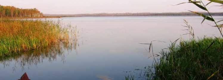 Озеро Милятино в Калужской области