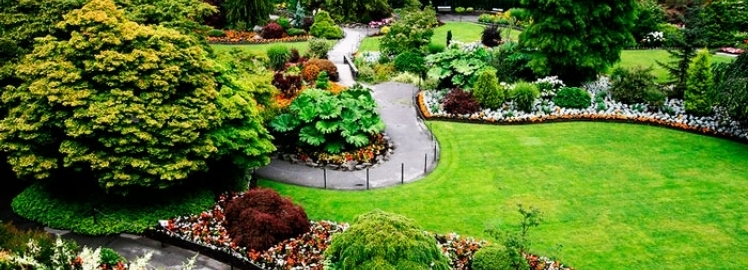 Парк королевы Елизаветы - оазис Ванкувера
