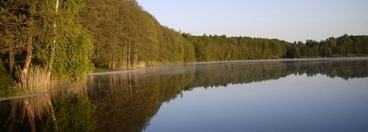 Отдых на озере Бездон в Калужской области