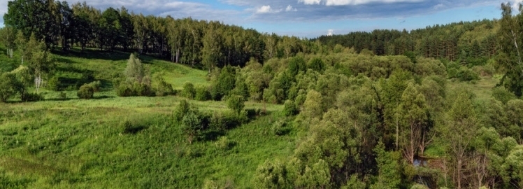 Экологический и спортивный туризм в Калужской области