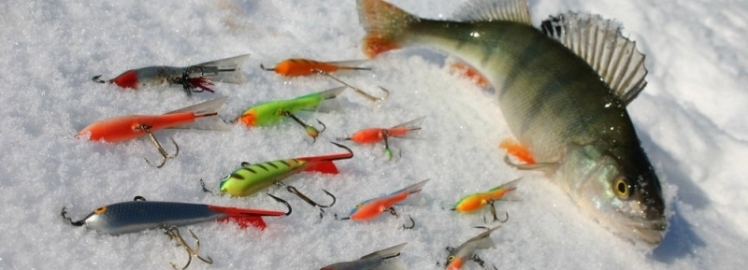 Ловля рыбы на балансир зимой